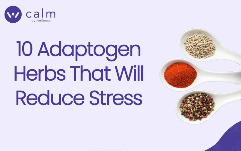 10 Adaptogen Herbs That Will Reduce Stress