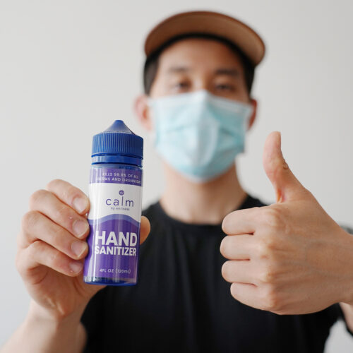 Hand Sanitizer model