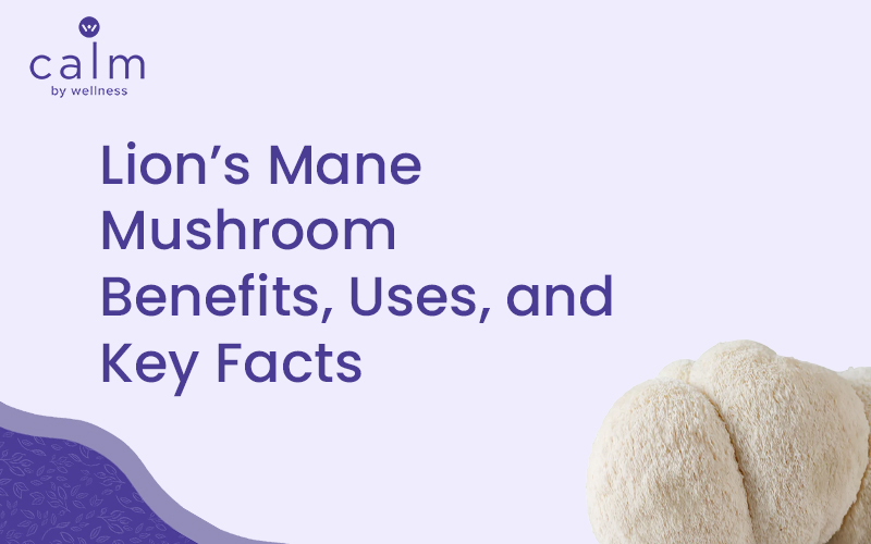 lion's mane mushroom